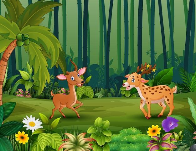 Happy deers playing in the jungle