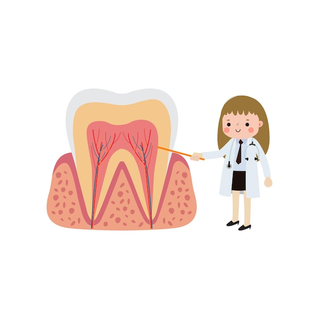 Vector happy dentist with tooth character cute cartoon flat style vector illustration on white background