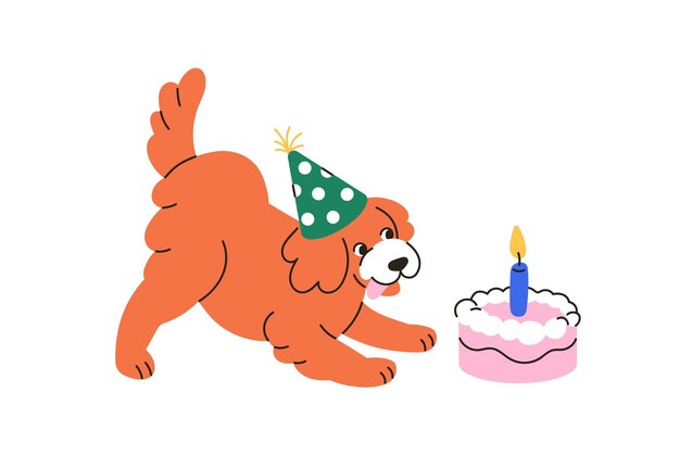 Happy dog with birthday cake candle Funny pet in bday hat cap celebrating one year Cute puppy with holiday present canine food surprise Flat vector illustration isolated on white background