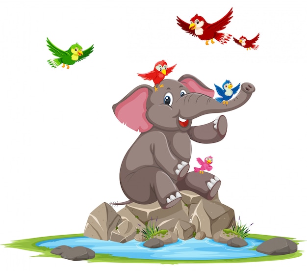 Happy elephant and bird