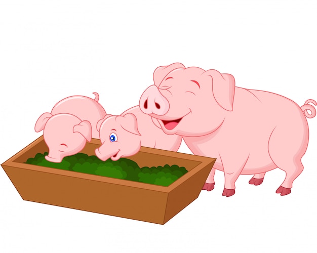 ハッピーファームの豚の家族