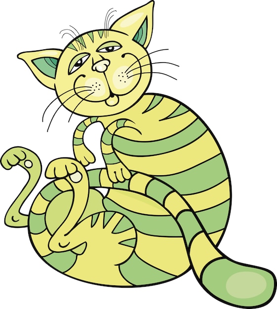 Felice gatto verde