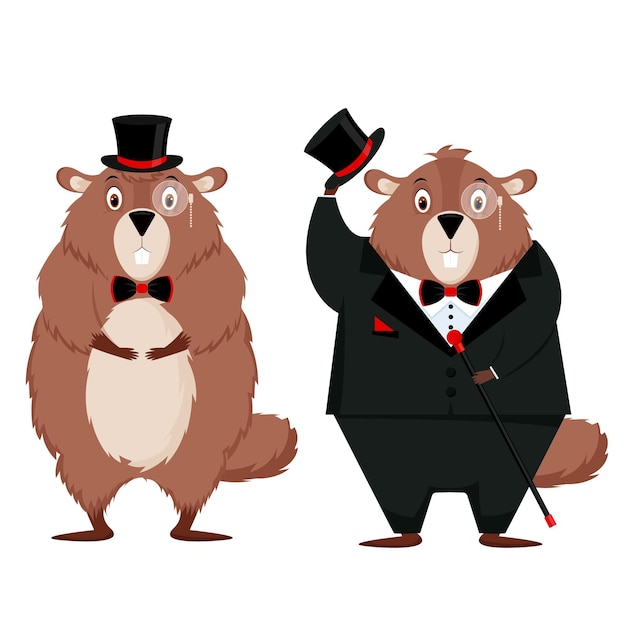 Buona festa della marmotta. set di due marmotte eleganti isolate su sfondo bianco. illustrazione vettoriale.