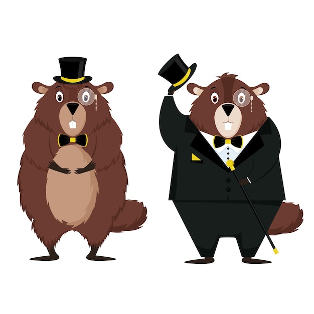 Happy groundhog day. set of two elegant groundhogs isolated on a white background. vector illustration.