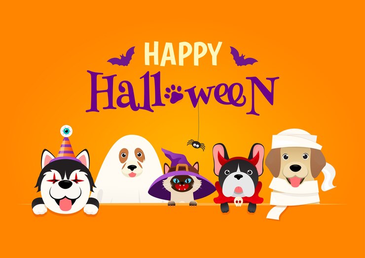 Happy Halloween Pet costume.