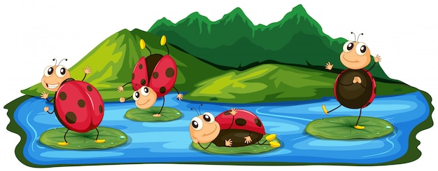 Coccinella felice che gioca nel lago