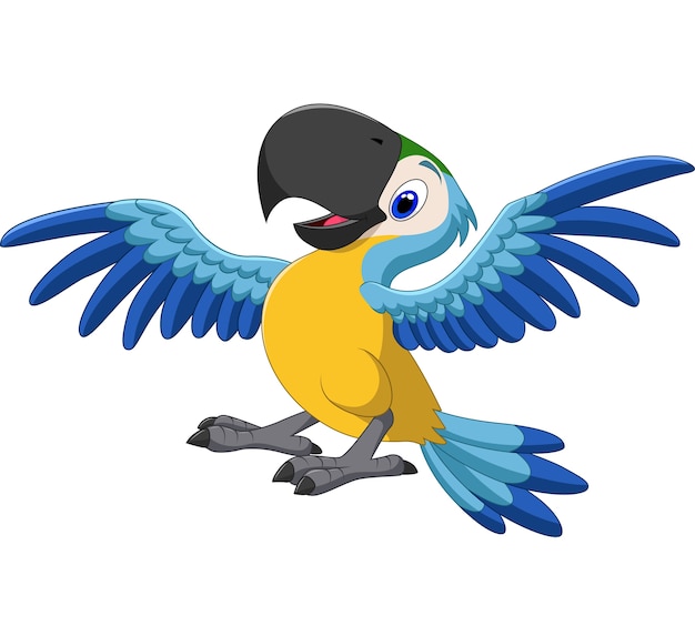 Vettore volo macaw felice