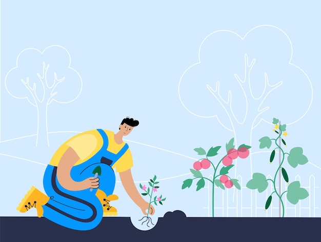 Happy man in overalls plants plant tomato cucumber Flat vector illustration on blue background