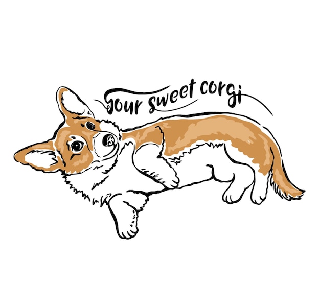 Happy playful dog corgi lettering text your sweet corgi closeup clip art hand painting