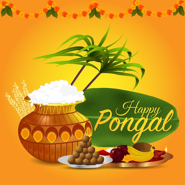 Happy pongal greeting card