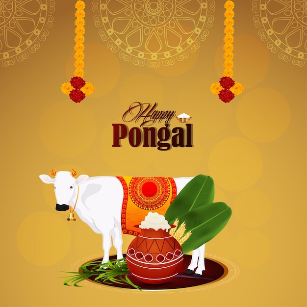 Felice celebrazione saluti pongal