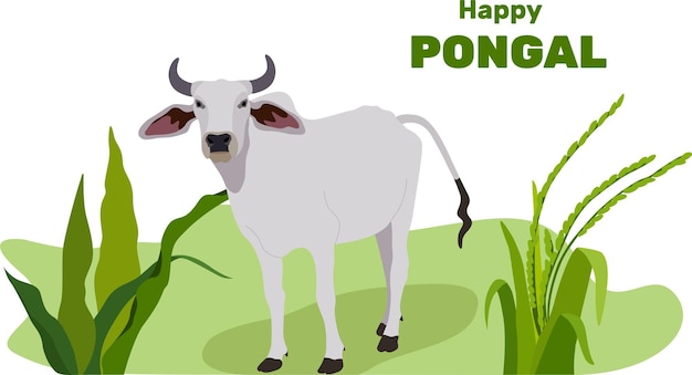 Happy religious holiday Pongal with South Indian holiday background and Happy Pongal. Tamil Nadu