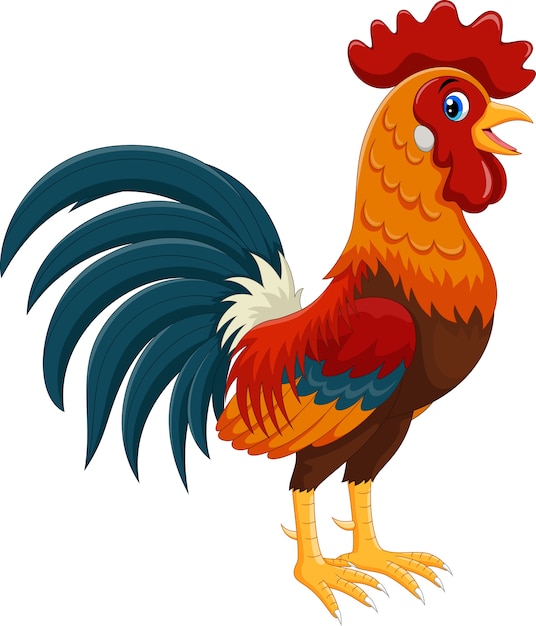 Vector happy rooster cartoon