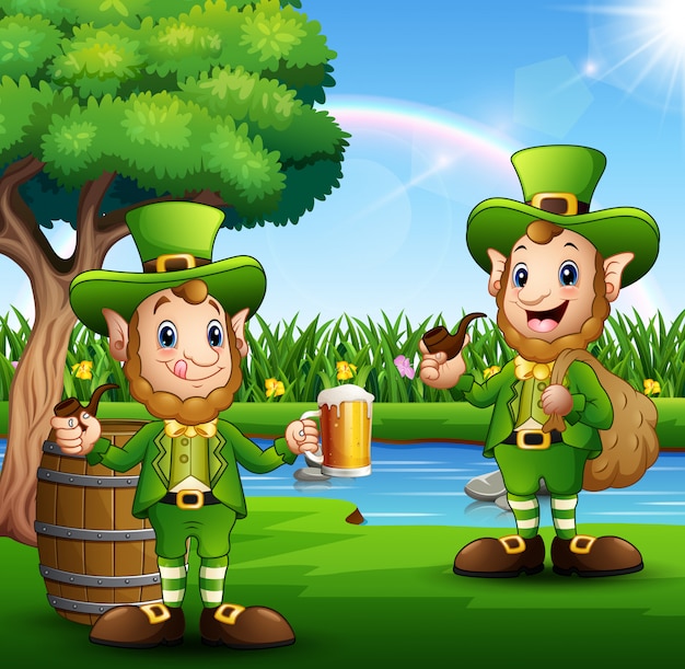 Happy saint patricks day leprechaun in het park