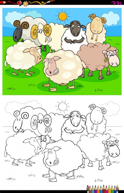 Happy sheep characters group coloring book