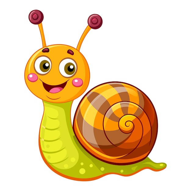 happy snail cartoon on white background