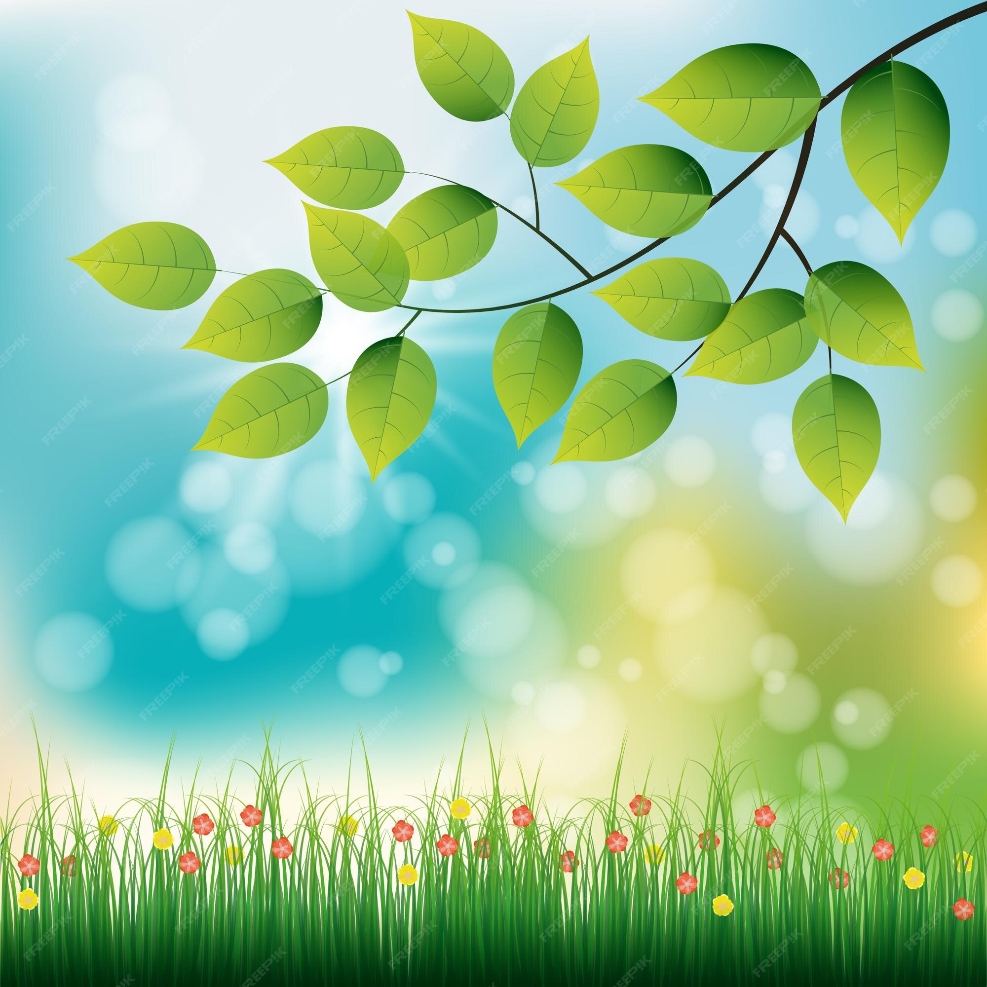 703,800+ Spring Backgrounds Stock Illustrations, Royalty-Free Vector  Graphics & Clip Art - iStock