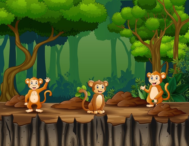 Happy three of monkey living in the jungle