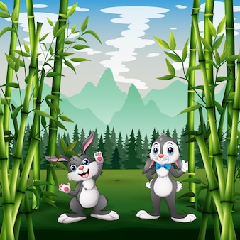 Due coniglietti felici che giocano nel parco