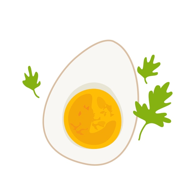 Hard boiled sliced egg vector illustration is good as icon, restaurant menu design element, shop sign. chicken egg cut.