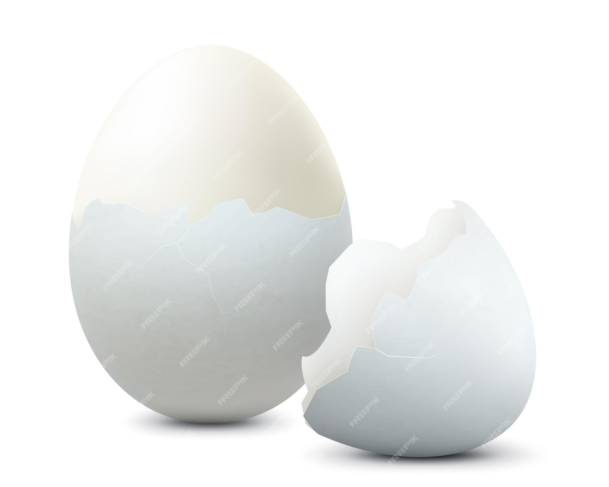 Premium Vector  Png vector eggs realistic white and brown egg on isolated  transparent background easter holiday