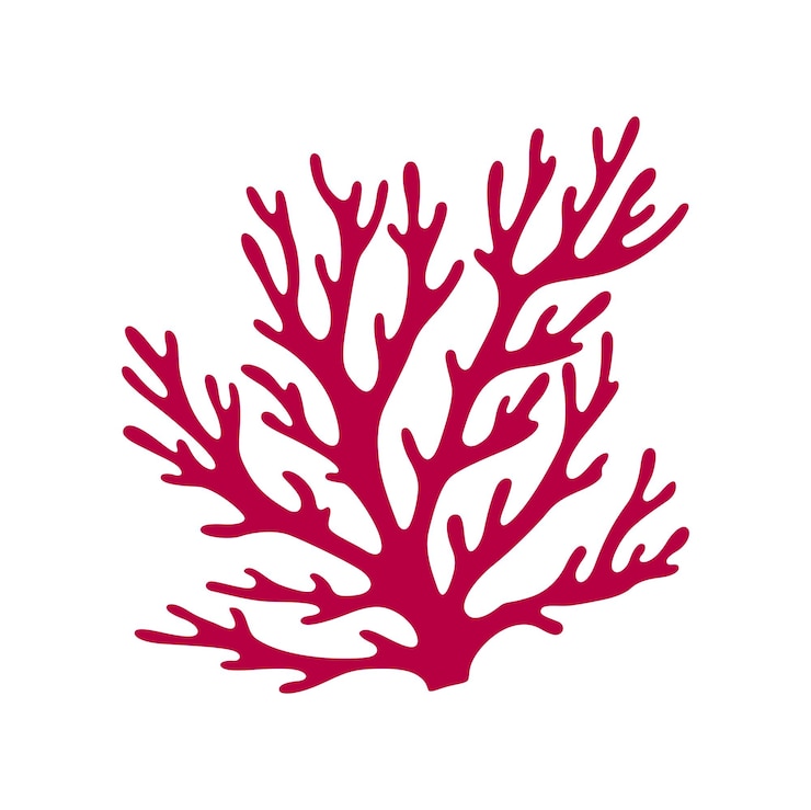 Vector hard coral seaweed aquatic underwater organism