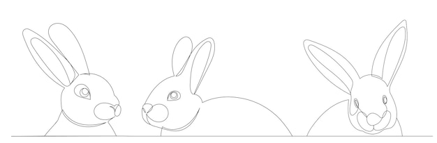Hare outline drawing by one continuous line isolated