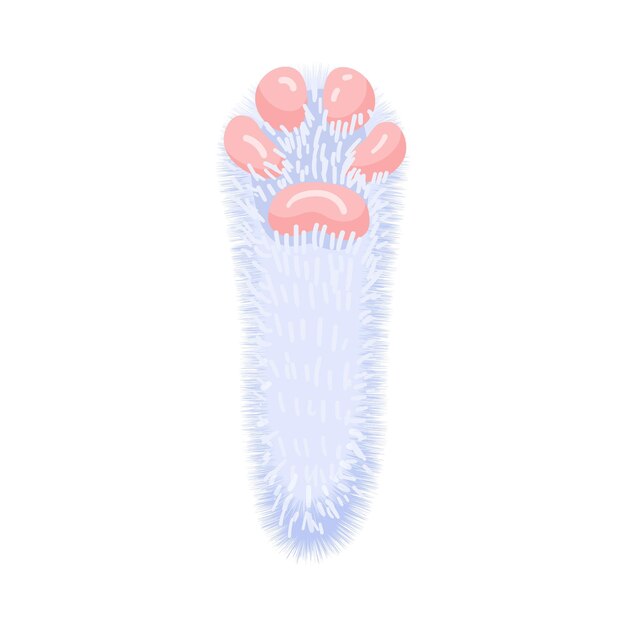 Hare paw concept Cute and lovely rabbit foot. Luck paw. Illustration on a white background. Vector.