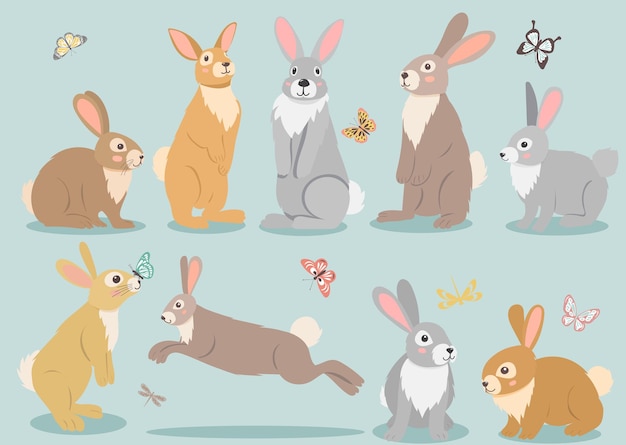 Hare rabbit set cartoon flat design isolated vector