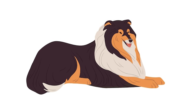 Harige Collie hond rusten. Engels hondenras met lange vacht. Gelukkig vriendelijk rasecht hondje. Gekleurde platte vectorillustratie geïsoleerd op een witte achtergrond.