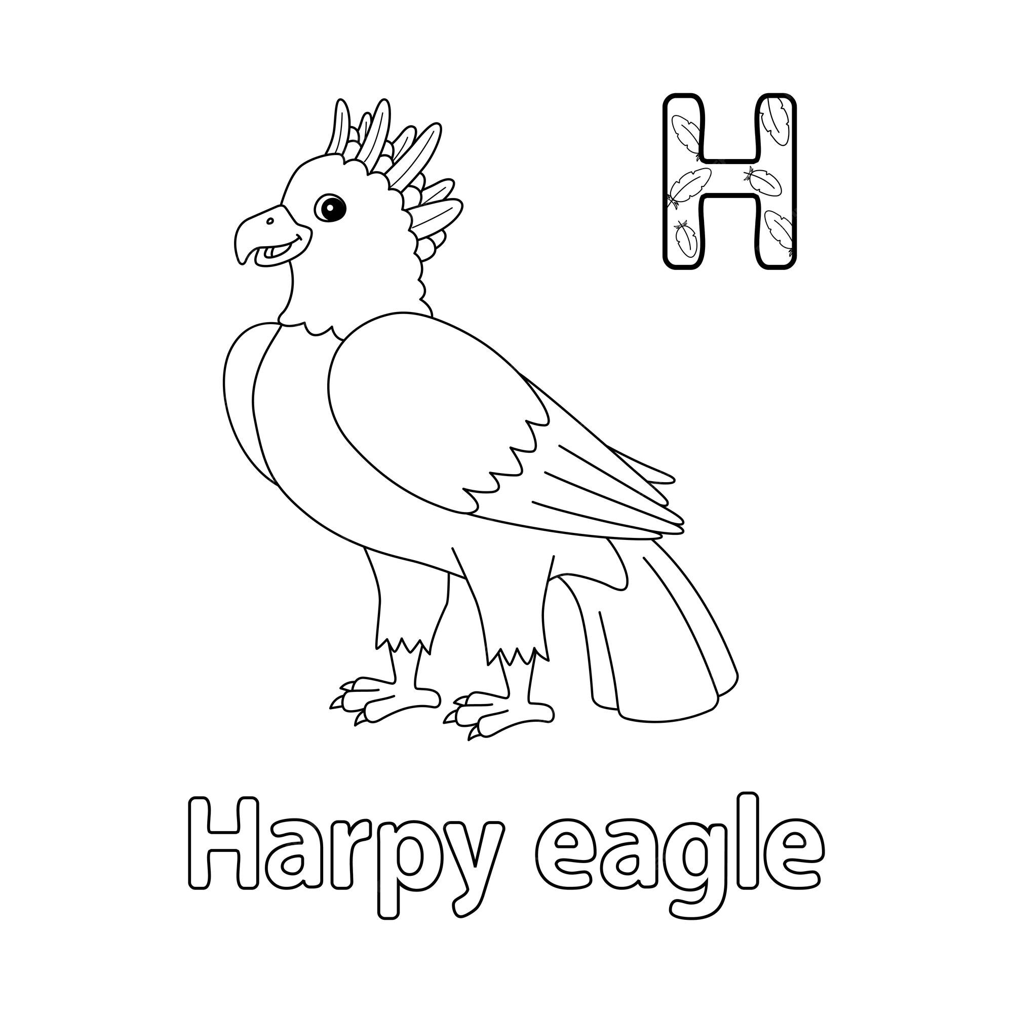 harpy eagle coloring pages