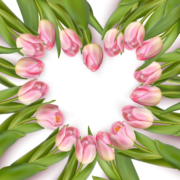Hartvormig frame van verse tulpen.