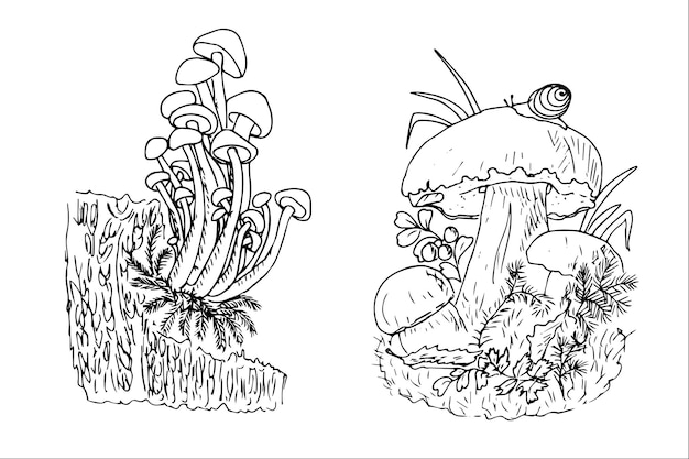 Harvest set, fruits, vegetables, mushrooms, berries, basket, flowers and leaves are doodle sketch.