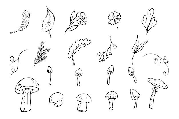 Il set per la raccolta, la frutta, la verdura, i funghi, le bacche, il cestino, i fiori e le foglie sono uno schizzo di doodle.