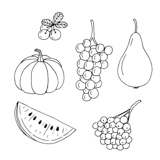 Harvest set vector illustration hand drawing doodles