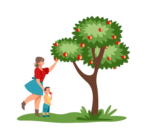 Vettore raccolta della madre e del bambino che raccolgono mele rosse in giardino femmina del fumetto con il bambino che cammina nel parco donna sveglia che raccoglie frutti succosi dall'albero autunno frutteto rustico illustrazione della gente di vettore
