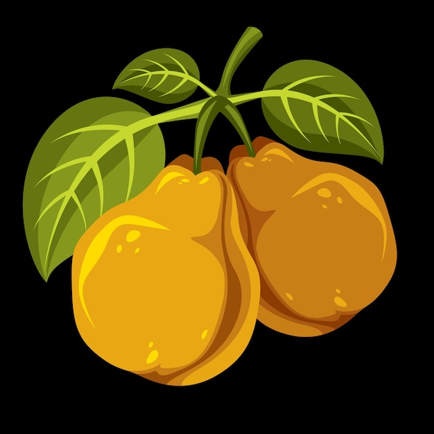 Harvesting symbol, vector fruits isolated. Two organic sweet orange pears with green leaves, healthy food idea design icon.