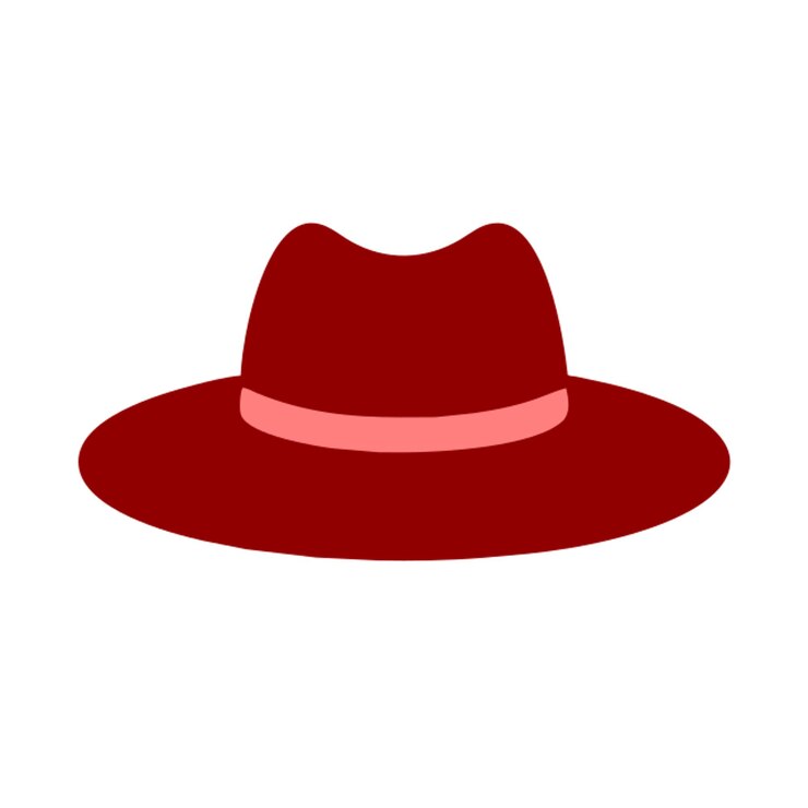 Vector hat icon