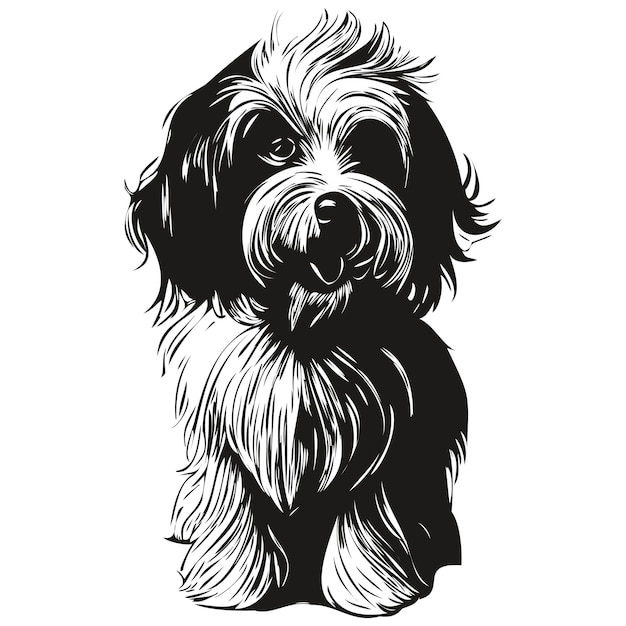 Havanese dog hand drawn line art vector drawing black and white logo pets illustration