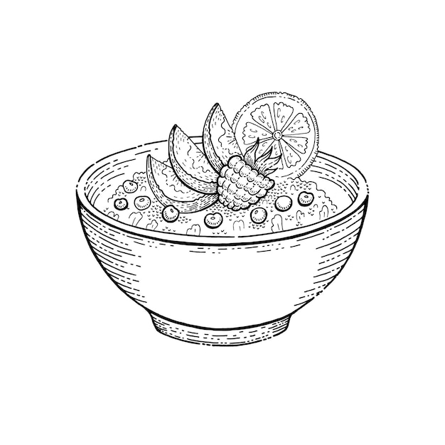 Haverkom Havermout schets vector pap Ontbijtgranen haver illustratie Granola maaltijd met fruit