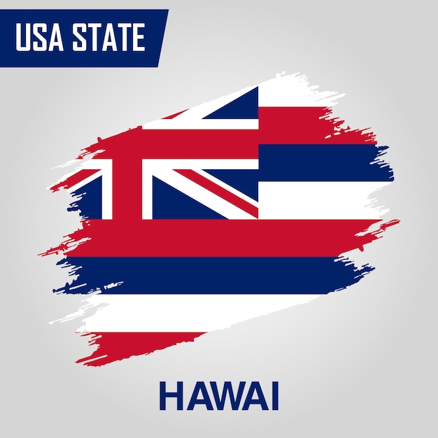 Hawai State Region of United States of America Grunge Vector flag template