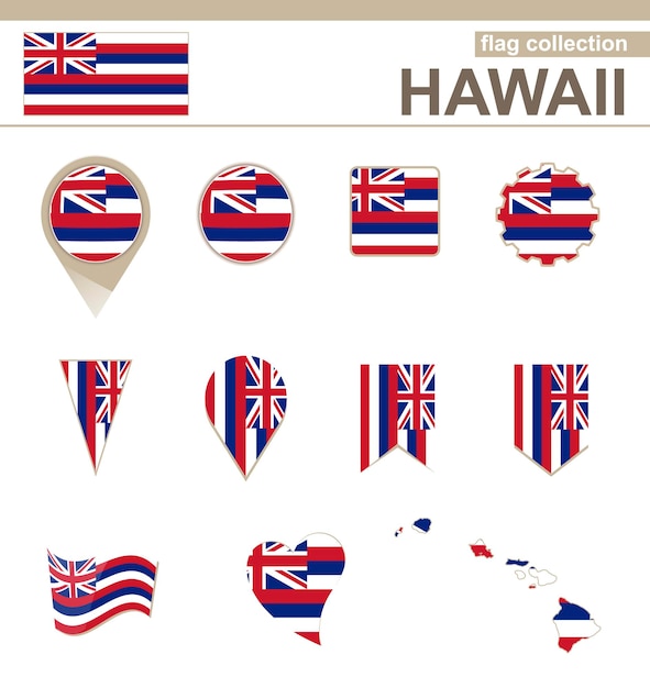 Vector hawaii flag collection, usa state, 12 versies
