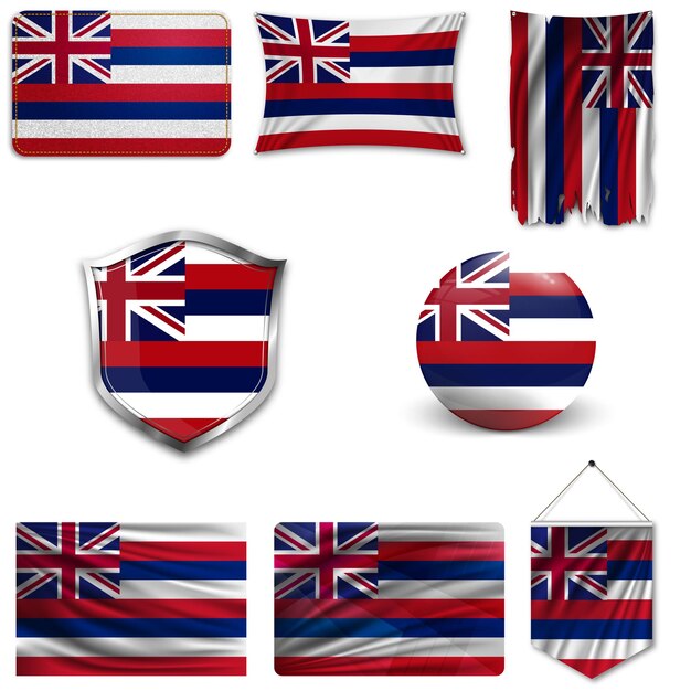 Vector hawaii state flag vector image