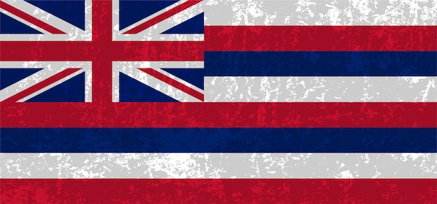 Hawaii state grunge flag Vector illustration