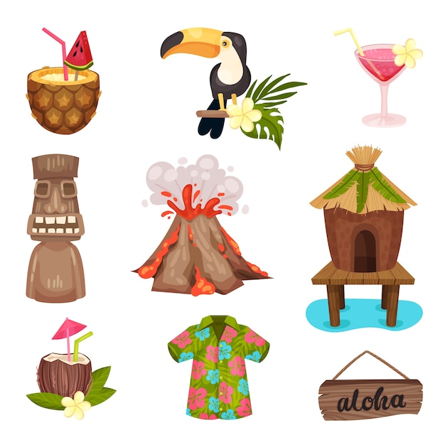 Vector hawaii symbols set with toucan and volcano