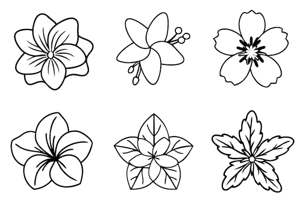 Hawaiian Flower Line Art Beautiful Black and White Blossom Sketch