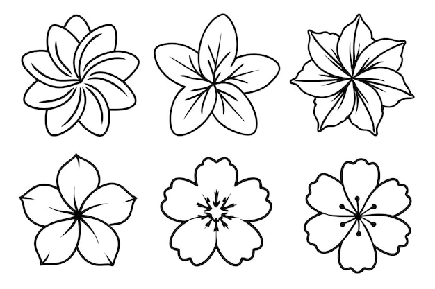 Hawaiian Flower Line Art Intricate Tropical Flower Pattern Artwork