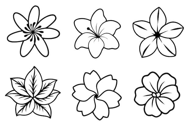 Hawaiian Flower Line Art Nature Inspired Artistic Floral Drawing