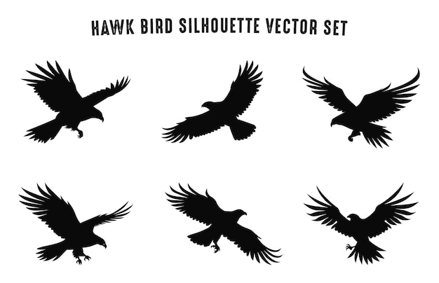 Hawk Bird Flying Silhouettes Vector Set Hawk Birds black Silhouette icon bundle