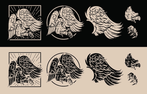 Hawk   illustration pack design